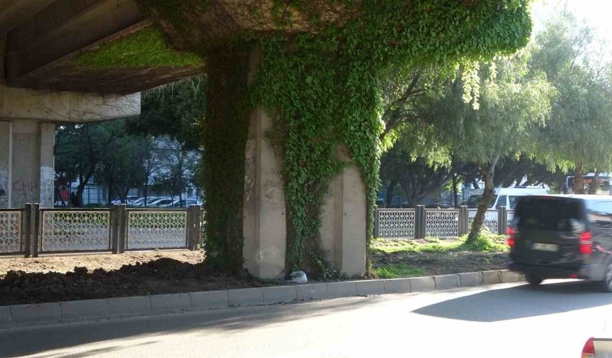 Hayalleri16’sında Kaldı!