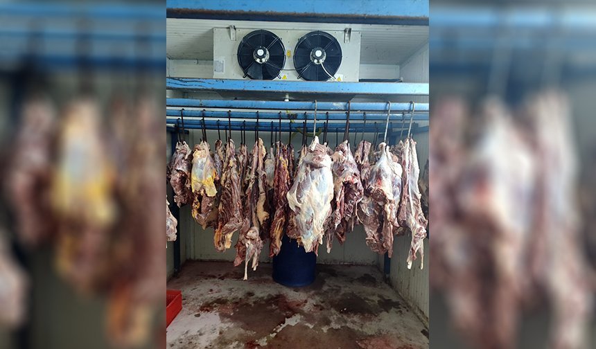 ‘Tek Tırnaklı’ Operasyonu!