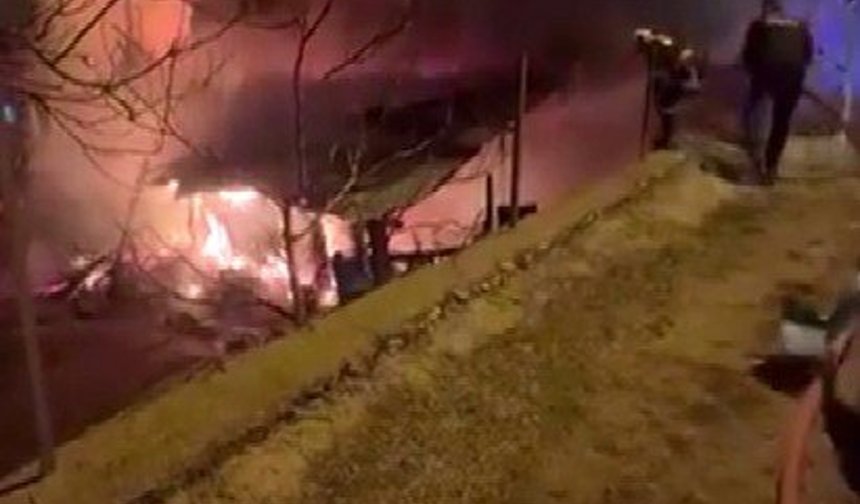 Alevler Her Yeri Sardı! Hayvanlar Son Anda Kurtarıldı