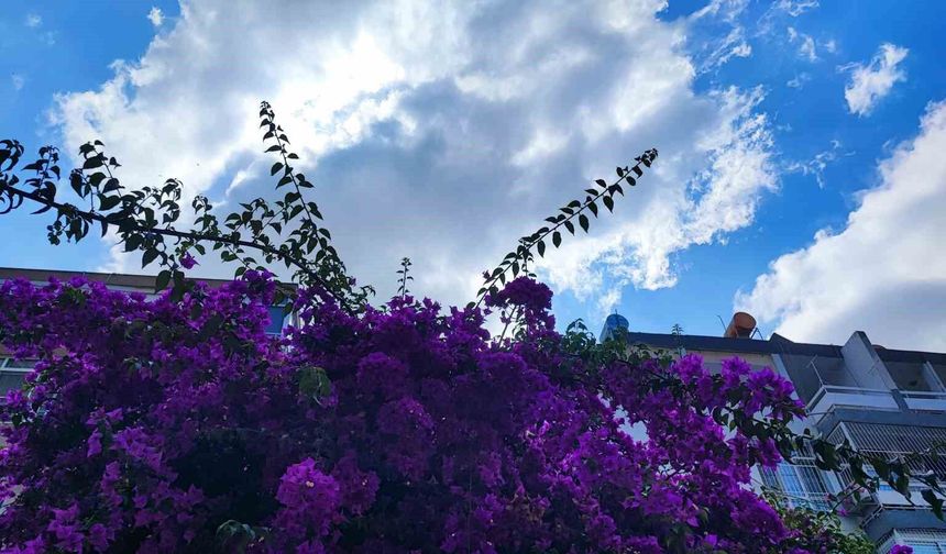 Adana İçin Sağanak Uyarısı: Yağış Günlerce Sürecek