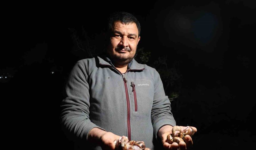 Kozan’da Gece Avı Başladı: Kilosu 35 Liradan Satılıyor