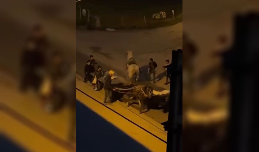 Ata ‘Kırbaç’lı Şiddet!
