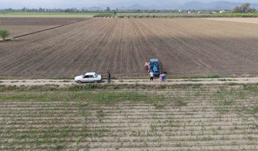 Dolu Mısırı Vurdu, Çiftçi Çareyi Ayçiçeğinde Buldu