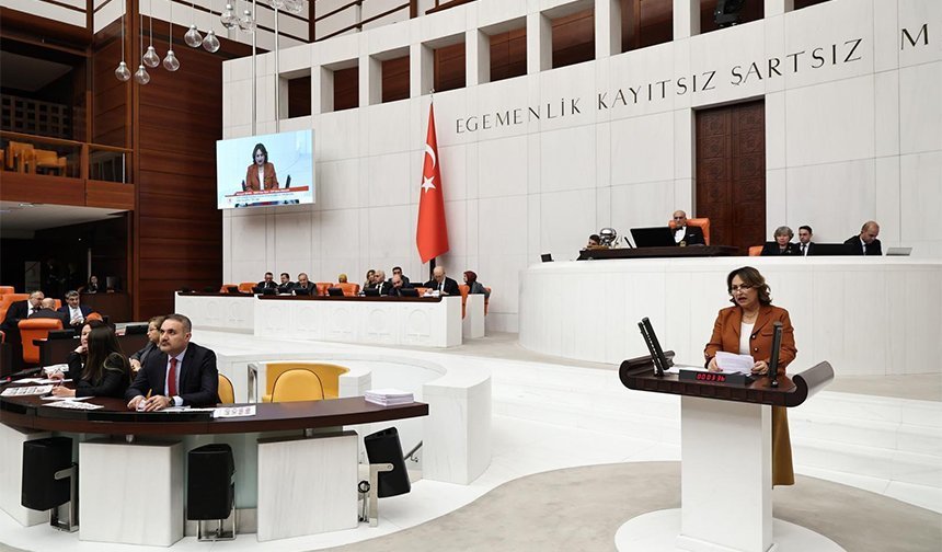 Dr. Şevkin: Türkiye’nin En Büyük  İhtiyacı Adalet, Liyakat ve Üretim