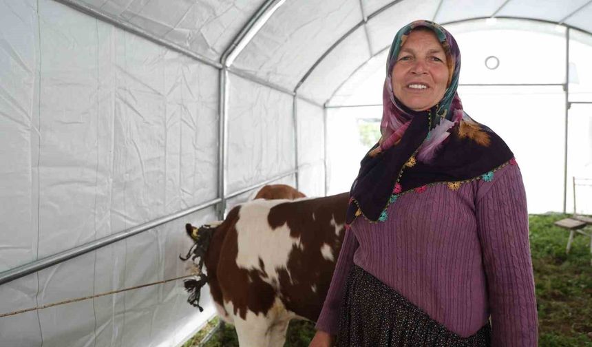 Gözyaşları Umut Oldu: Hayriye Özcan’ın Yüzü Yeniden Güldü