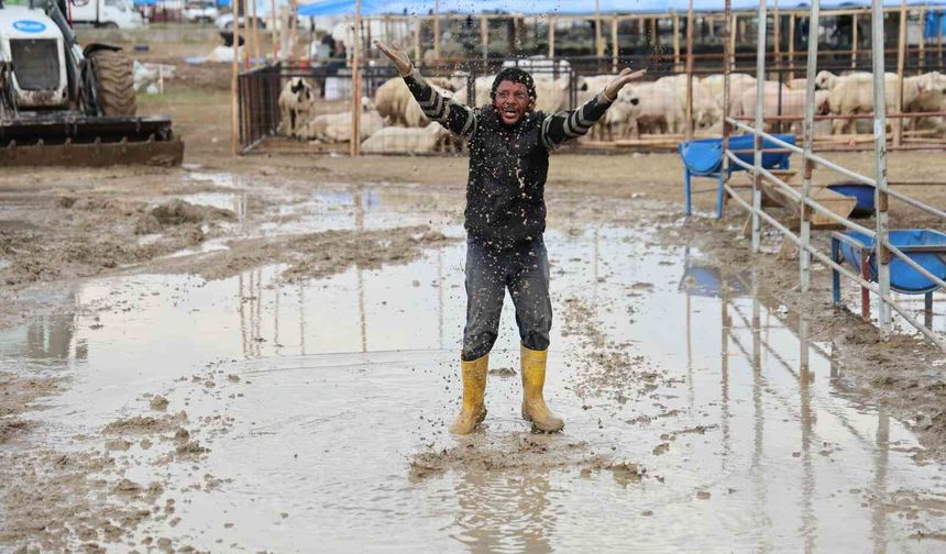 Adana’da Kurban Pazarları Göle Döndü! Besiciler İsyan Etti