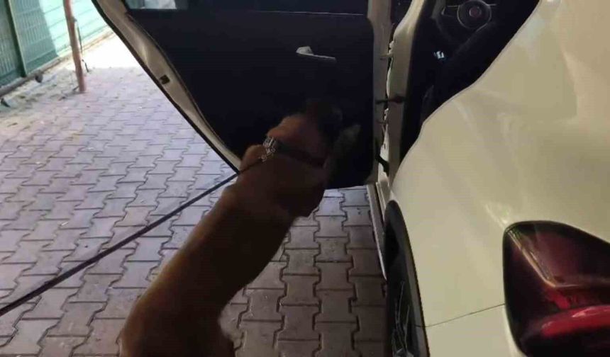 Zehir Zulasına ‘Tuzak’ Savunması!