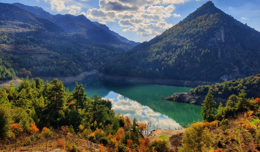 Adana’da Ormana Giriş Yasak!