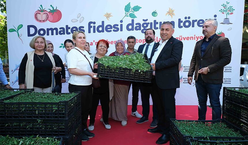 Adana’da Üreticiye Dev Destek! Yüz Binlerce Domates Fidesi Dağıtıldı