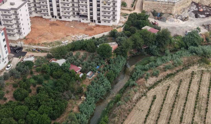 Kozan'da Koku ve Sinek Kabusu: Vatandaşlar Pencere Açamıyor