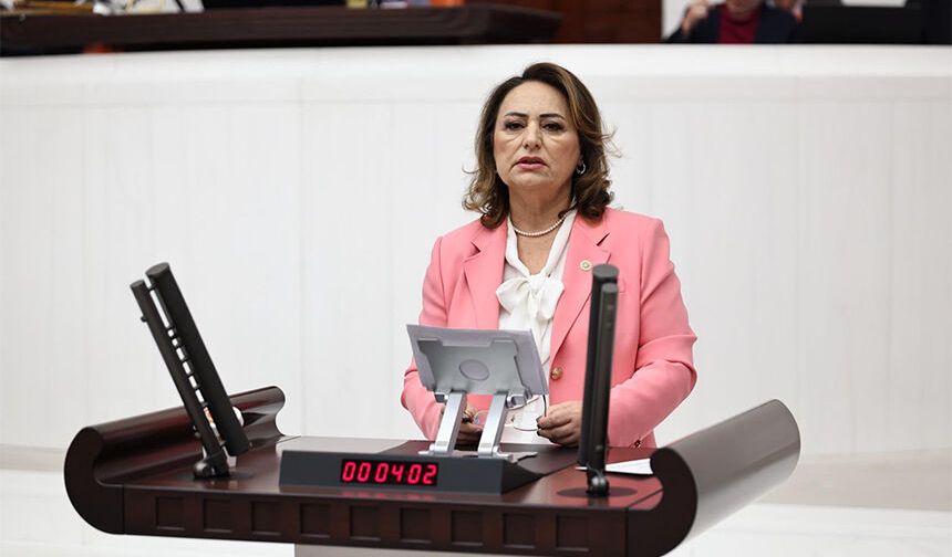 TBMM’de Adana İsyanı! Dr. Şevkin Sorunları Tek Tek Sıraladı