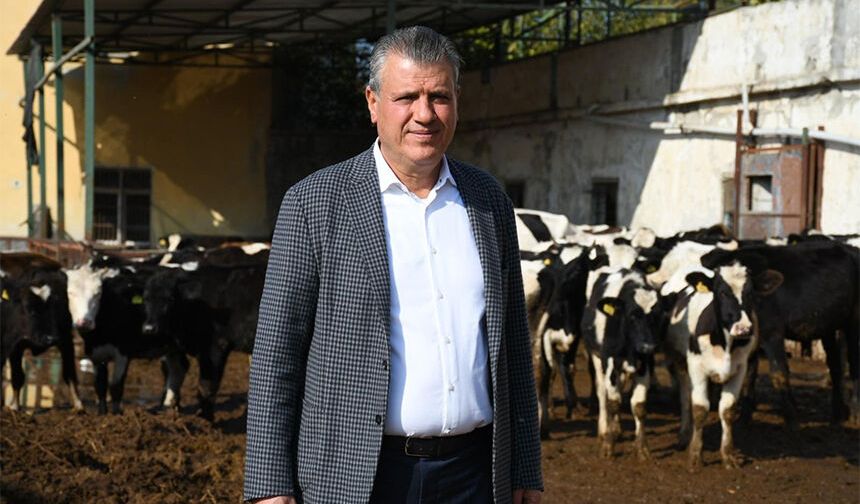 Süt Krizi Büyüyor! Ayhan Barut'tan Çarpıcı Uyarı