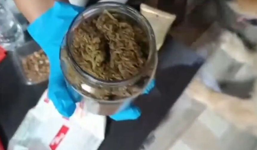 Adana’da Uyuşturucu Operasyonu: Evlerden Esrar, Hint Keneviri Ve Tüfek Çıktı