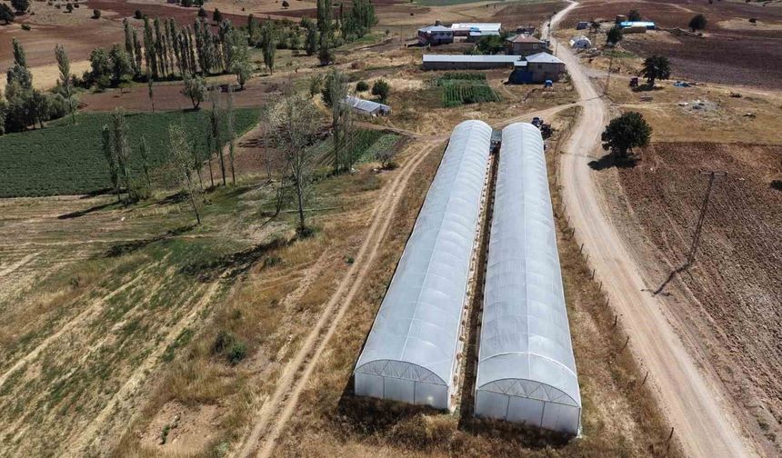 Adana’da 1.500 Rakımda Bir İlk! Baba-Kızın Serasında İlk Hasat Yapıldı