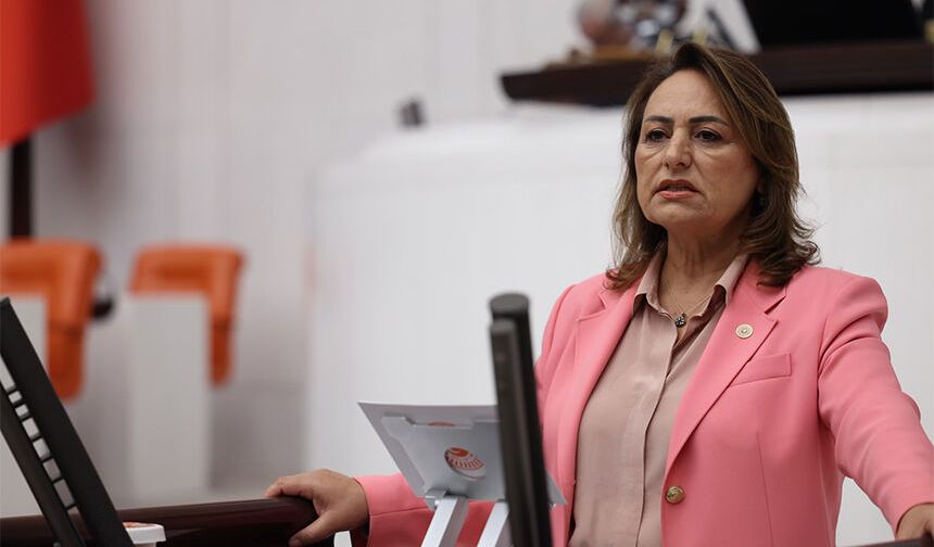 CHP'li Şevkin TBMM'de Sert Çıktı: "Çocukları Cezalandırmak Çözüm Değil, Önce Bataklığı Kurutun!"