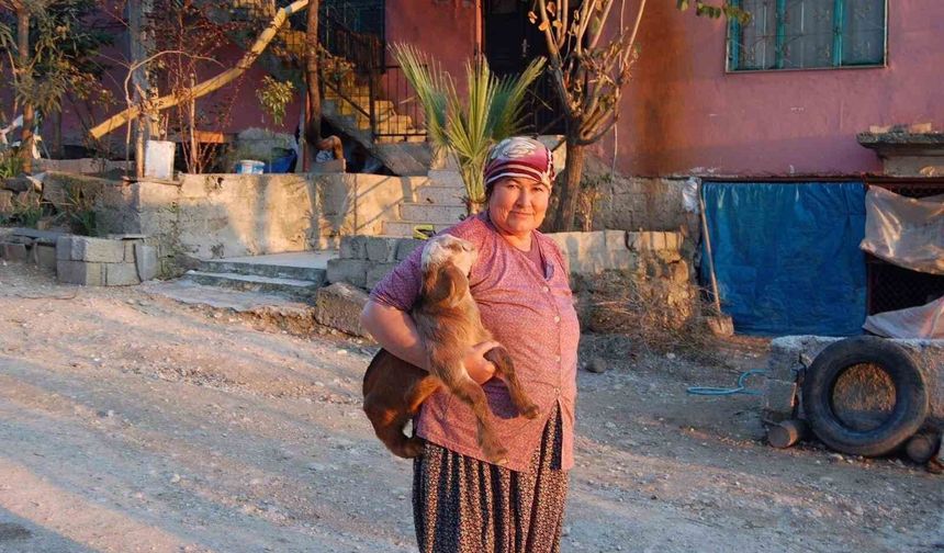 7 Yıl Boyunca Beklediler, Sonunda Haber Geldi!