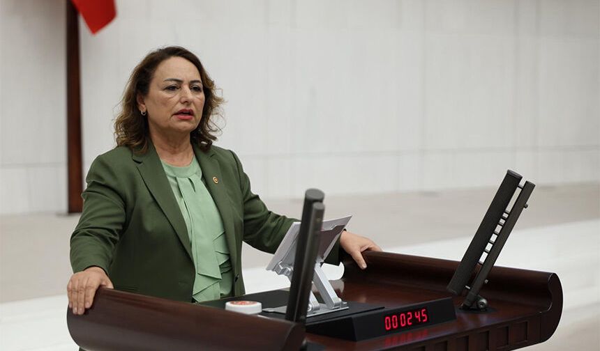 Çukurova Havalimanı'nda 100 Kişi İşten Çıkarıldı İddiası! Müzeyyen Şevkin TBMM'de Sordu