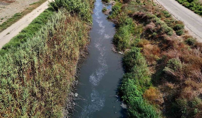 Adana'da Mikroplastik Alarmı! Tarımsal Drenaj Kanallarında Yoğunluğu Görüntülendi