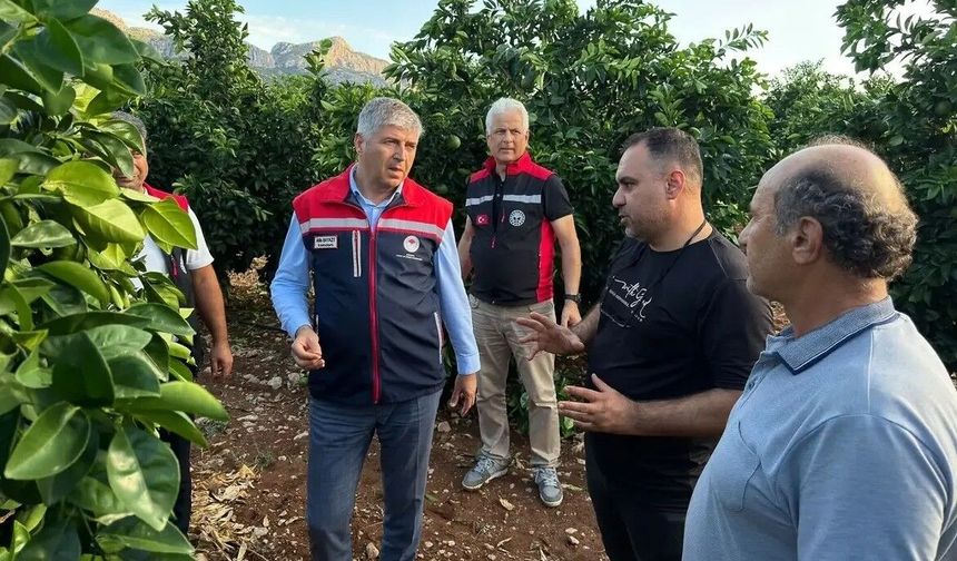 Dolu Adana’da Tarımı Vurdu: 12 Mahallede Hasar Tespit Çalışması