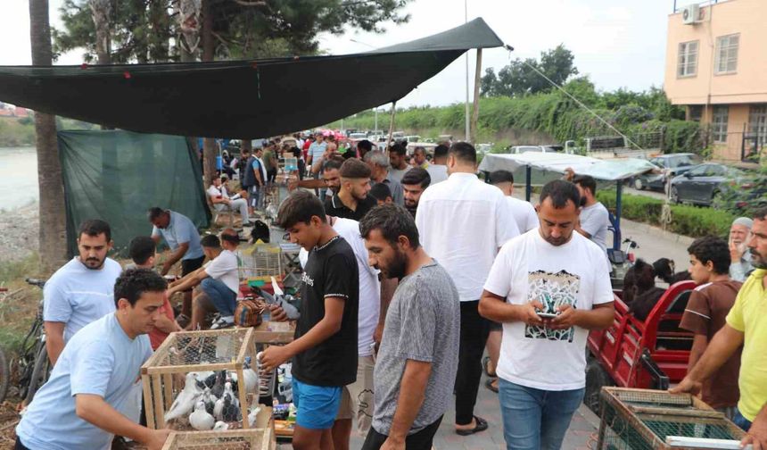 Adana’da Kuş Pazarı Yine Dolup Taştı!