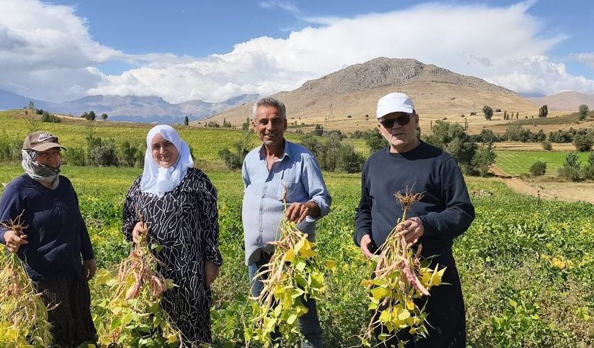 Adana’da Tarladan Sofraya: Kilosu 125 TL’den Satılıyor