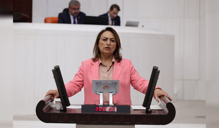Müzeyyen Şevkin’den 1 Eylül Mesajı: “Barış İçin Önce Eşit Yurttaşlık Ve Adalet”