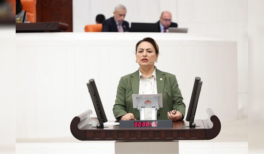 Şevkin’den Meclis’e Engelli Bireyler İçin İki Ayrı Önerge: “Bakım Emeği Görülmeli”