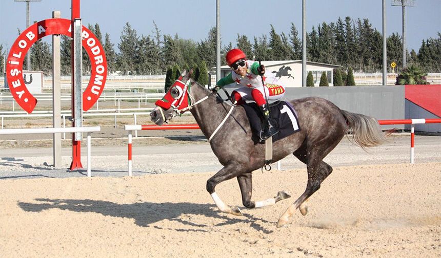 Yeni Sentetik Pist Yarış Heyecanına Damga Vurdu