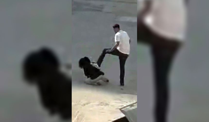 5 Bin 219 Kadına Koruma!