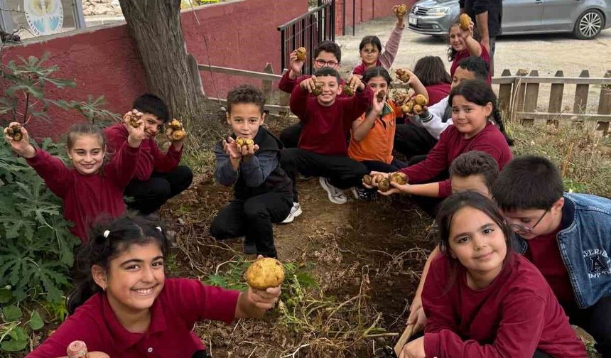 Okul Bahçesinde Ektiklerini Sofrada Buluşturdular!