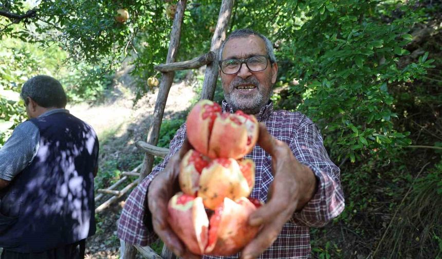 Adana’nın Coğrafi İşaretli Lezzeti Tezgâha İniyor!