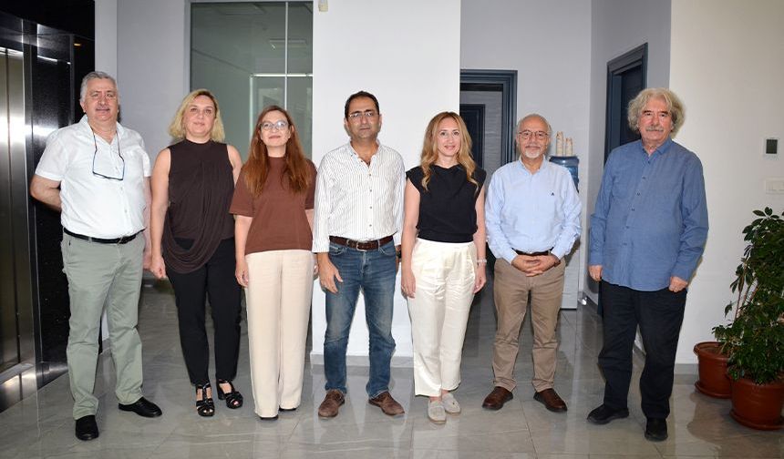 İklim Krizi, Sağlık, COP31 ve HİZ Paneli