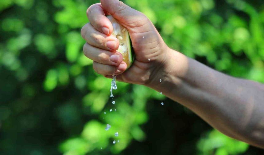 Adana’da Limon Ve Mandalina Dalında Kaldı!
