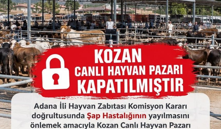 Kozan Canlı Hayvan Pazarı Kapatıldı!