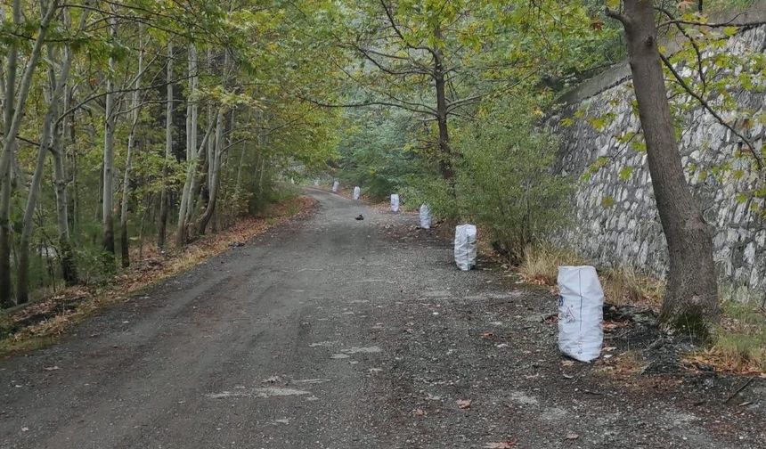 Pozantı’da Çevre İçin Seferber Oldular: Şelale Yolundan 20 Çuval Çöp Çıktı