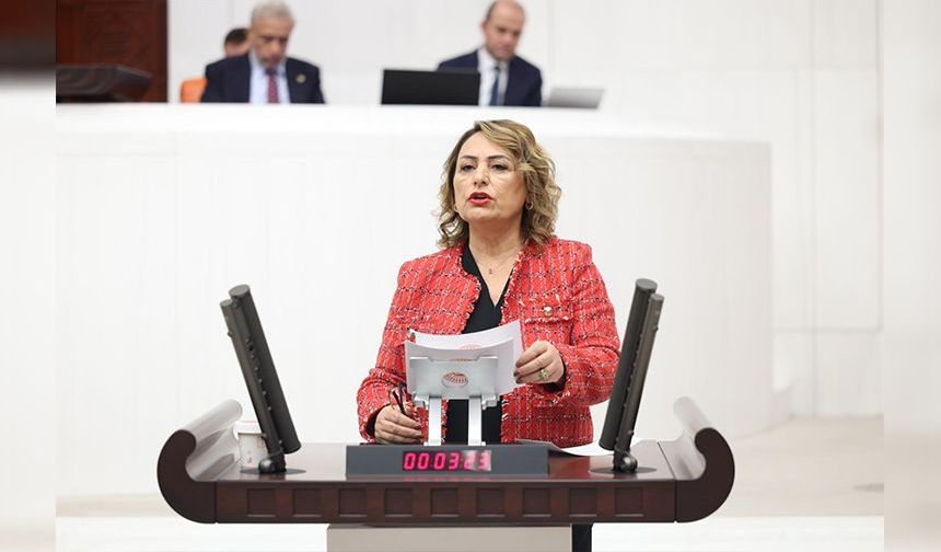Şevkin’den Meclis’te Sert Çıkış: “830 Milyar Dolarlık Hırsızlığın Hesabını Kim Verecek?”