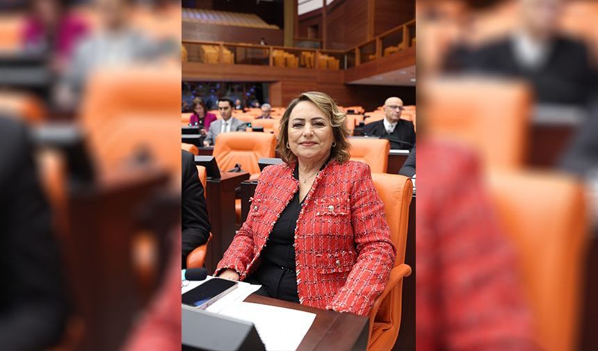 Şevkin’den Meclis’te Sert Çıkış: “Çukurova’da Çiftçi Bitti, Sayın Bakan!”