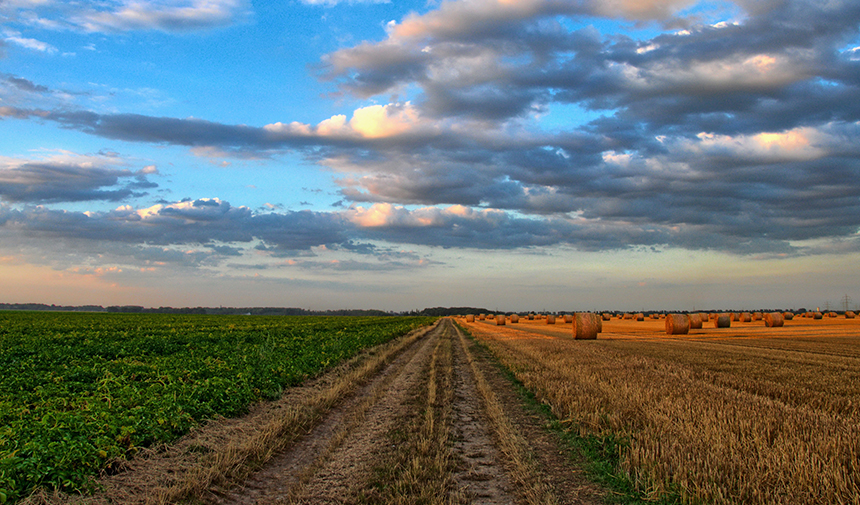 Tarım Girdi Fiyat Endeksi Yükselmeye Devam Ediyorkapak