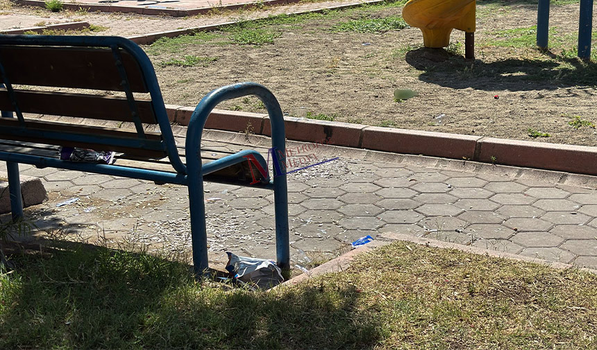 Cocuk Parki Cekirdek