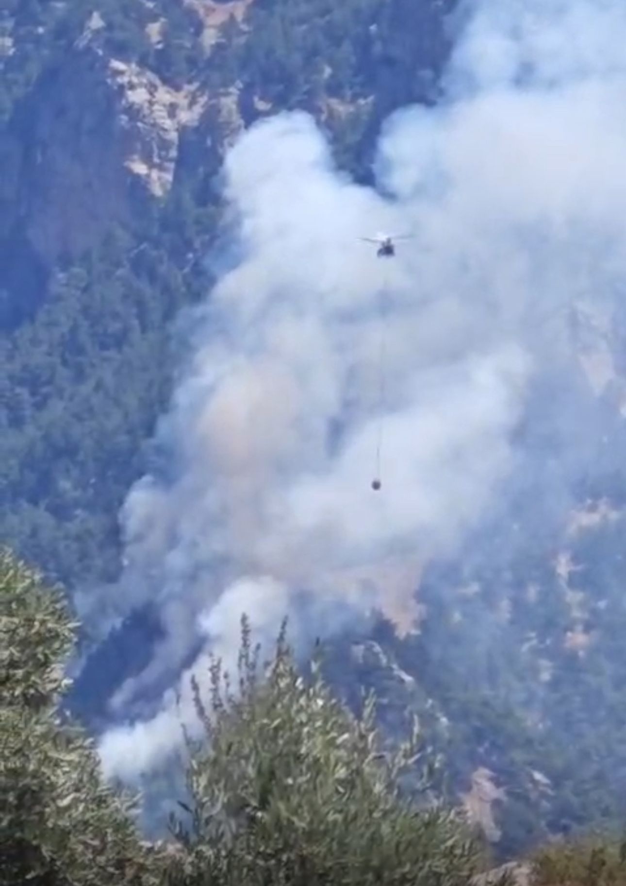 kozan kuskayasi yangin