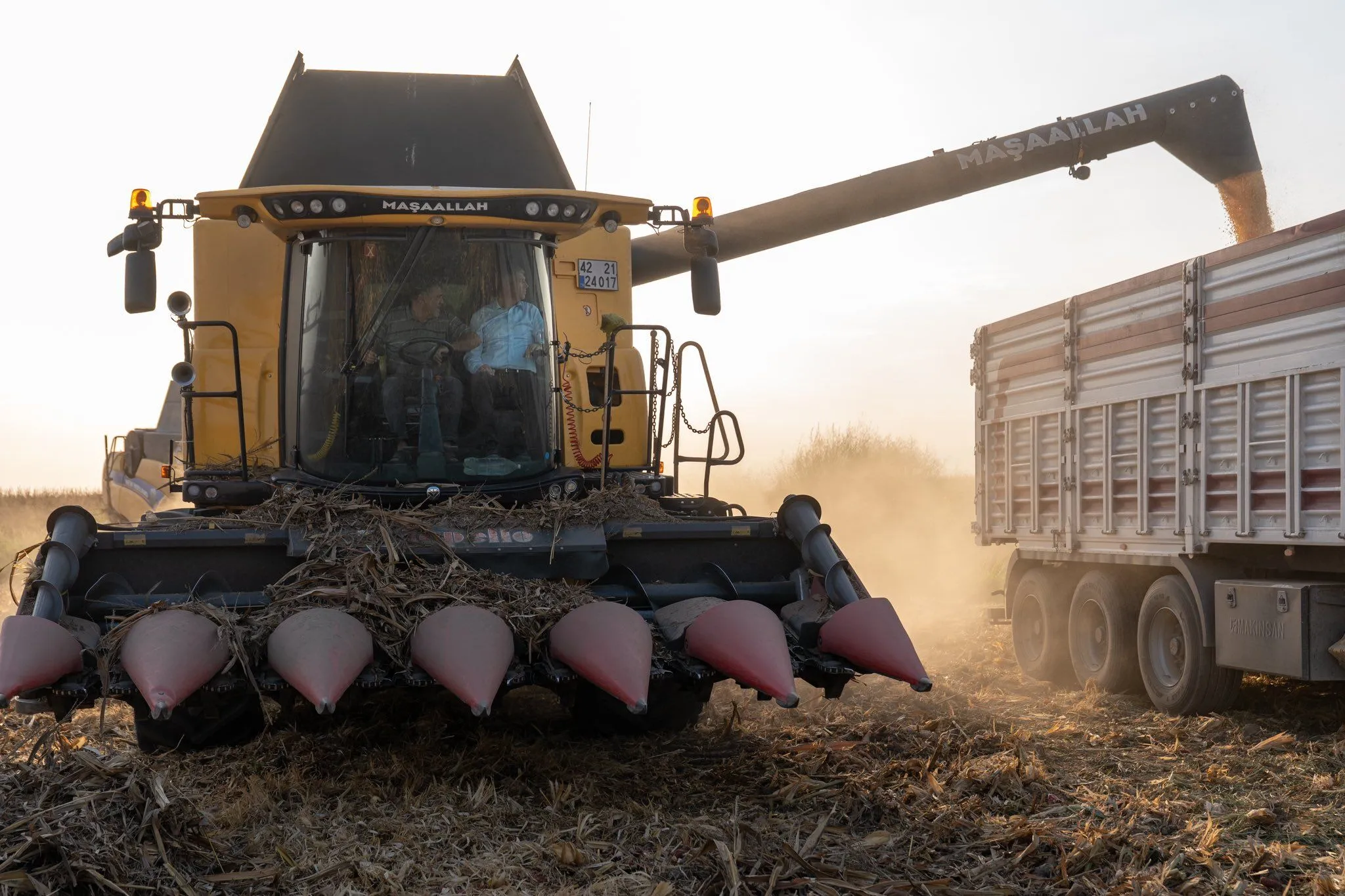 Adanada Misir Hasadi Devam Ediyor Il Muduru Bayazit Ureticilerle Bulustu 2