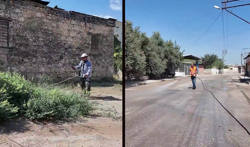 Belediye Seyhan Temizlik