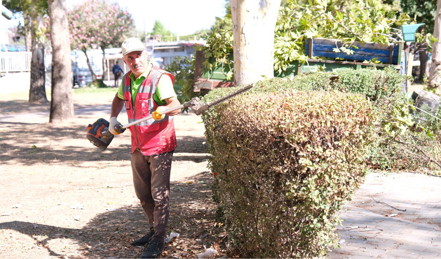 Ceyhan Bld Mesaileri