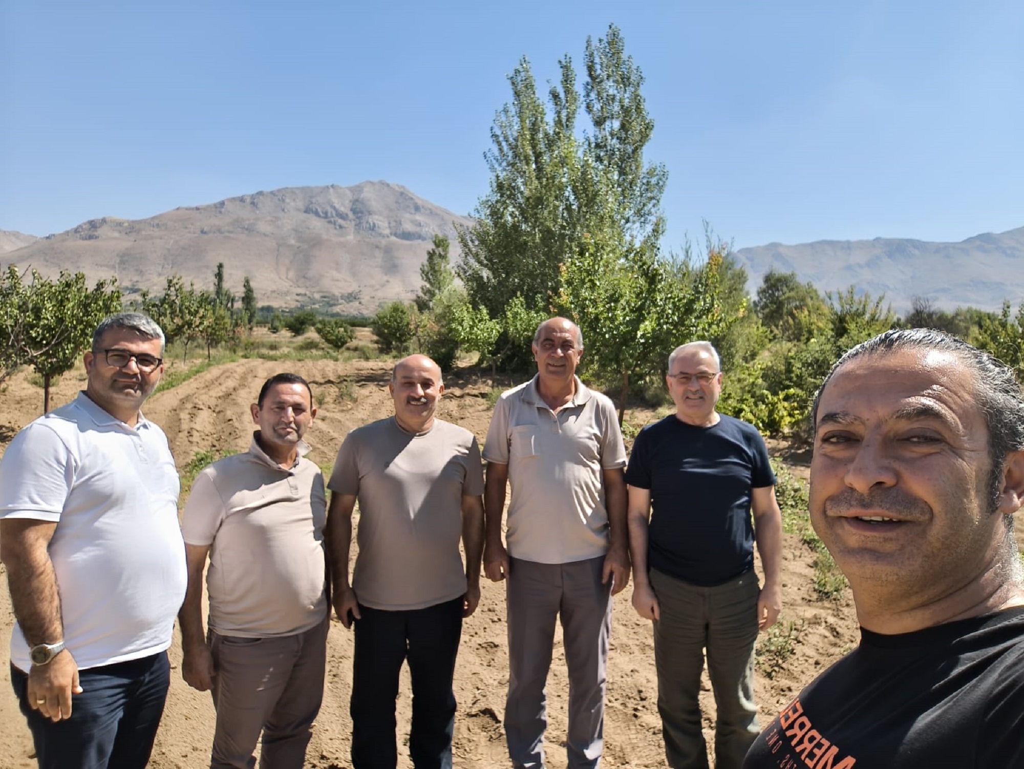 Gyz I Pr V X Q A Ar M O I