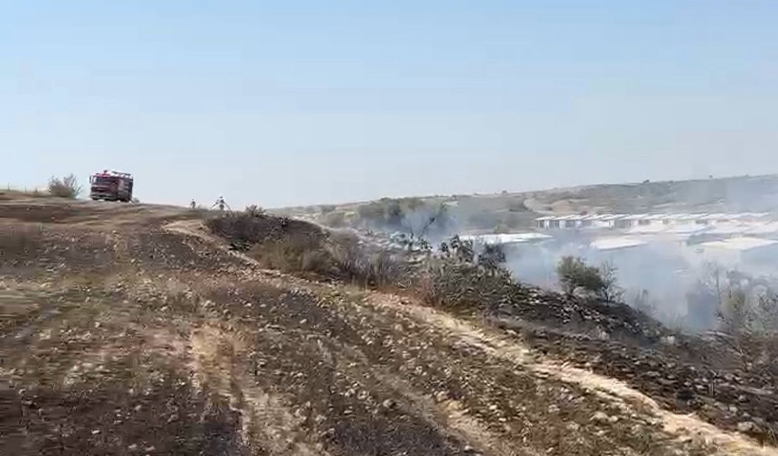 Organize Sogutma Islemleri