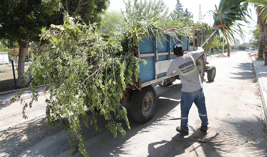 Yuregir Park Cim Temizligi