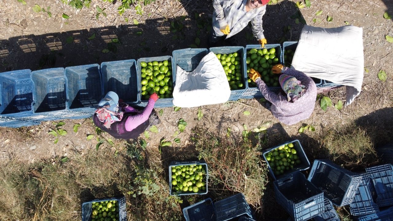 Adsız Tasarım 2025 09 30T115957.495