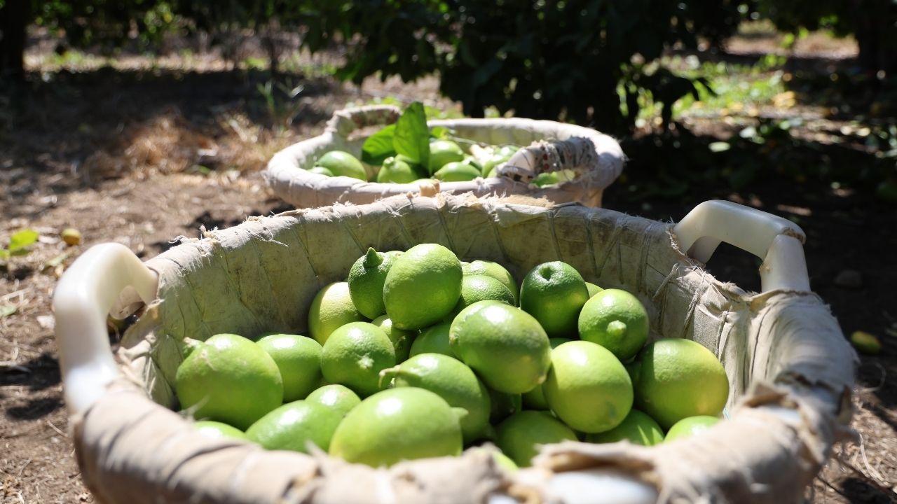 Adsız Tasarım 2025 09 30T120042.346