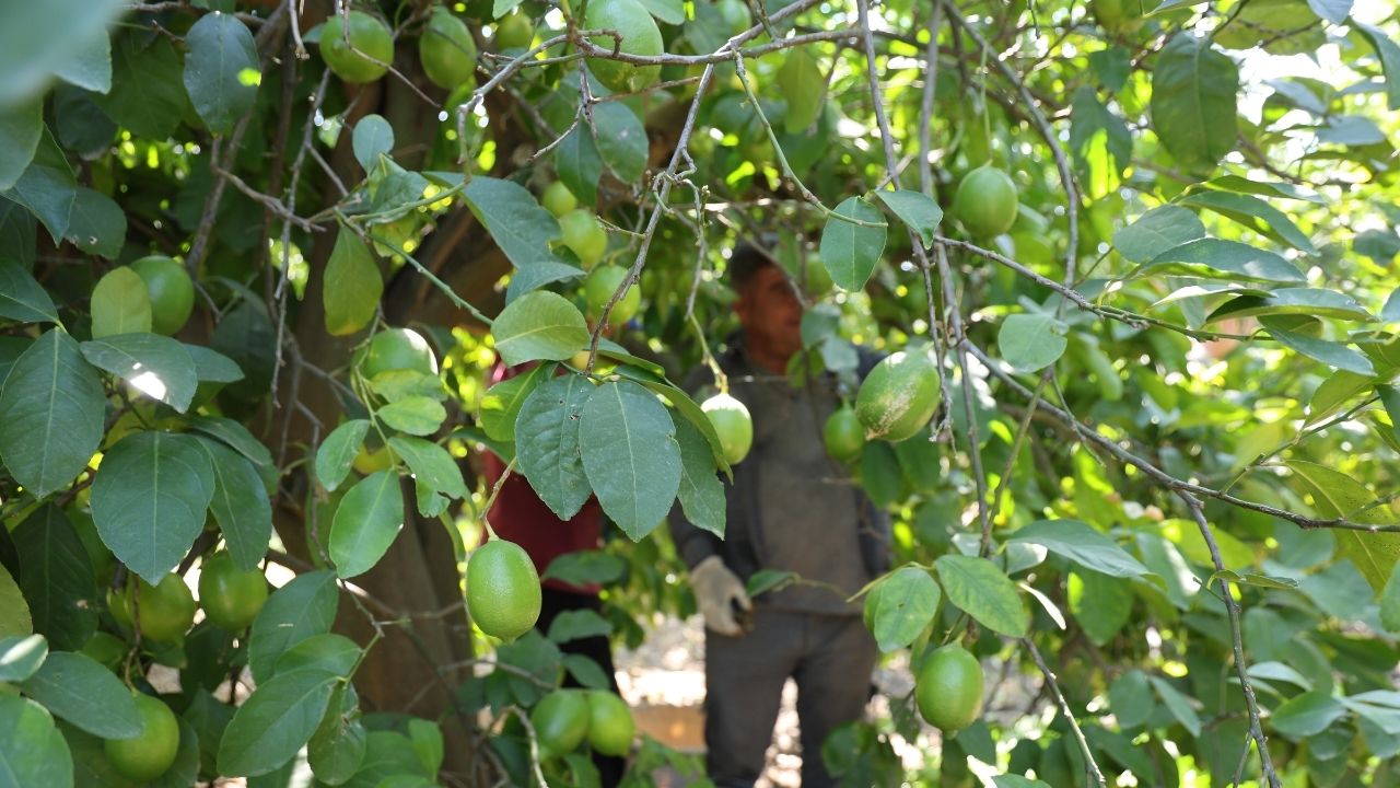 Adsız Tasarım 2025 09 30T120238.599