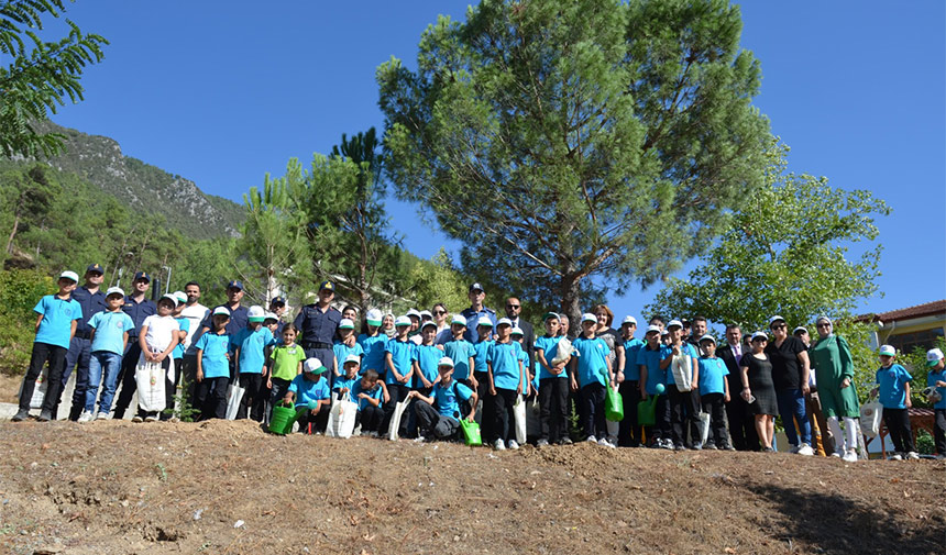 Cocuklar Agac Dikim Orman Bolge